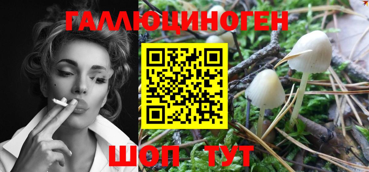 Псилоцибиновые грибы Magic Shrooms Саратов
