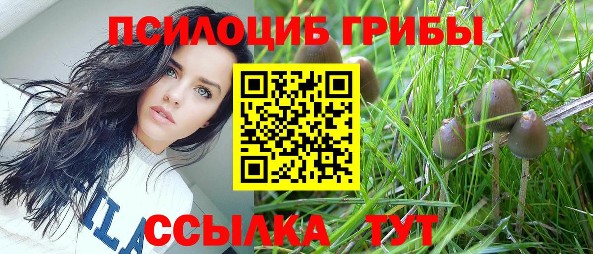 Псилоцибиновые грибы Magic Shrooms  Псилоцибиновые грибы мицелий  Вход с VPN  Саратов 